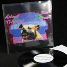 Record Sleeves (5)