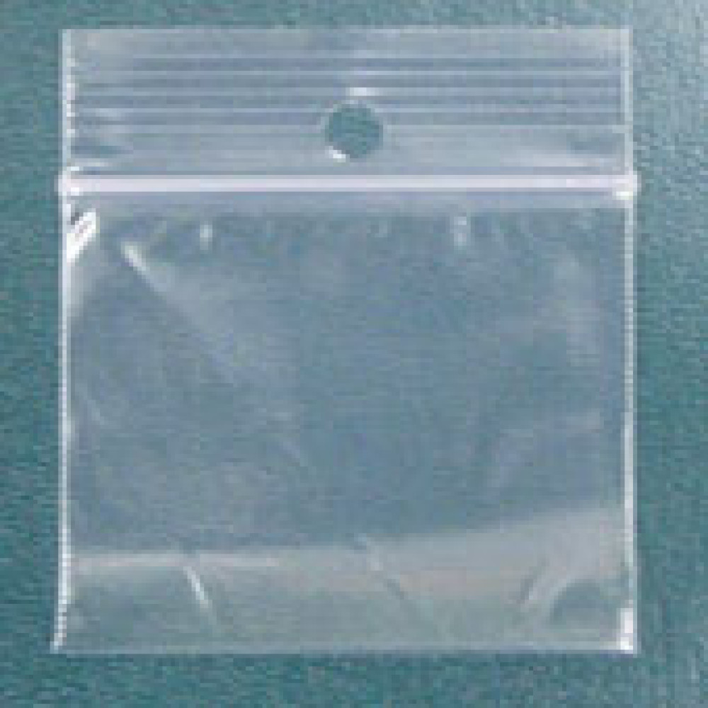 2" x 3"   - 2 Mil Reclosable Poly Bag w/Hang Hole ; 1,000/case
