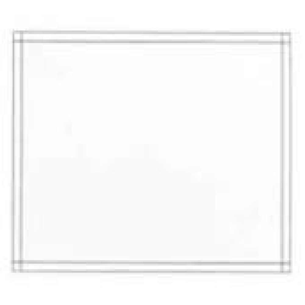 10" x 12" UnPrinted Packing List Envelope; 500/case