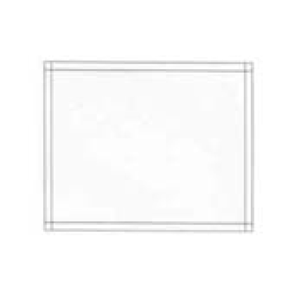 7" x 5-1/2" UnPrinted Packing List Envelope; 1,000/case